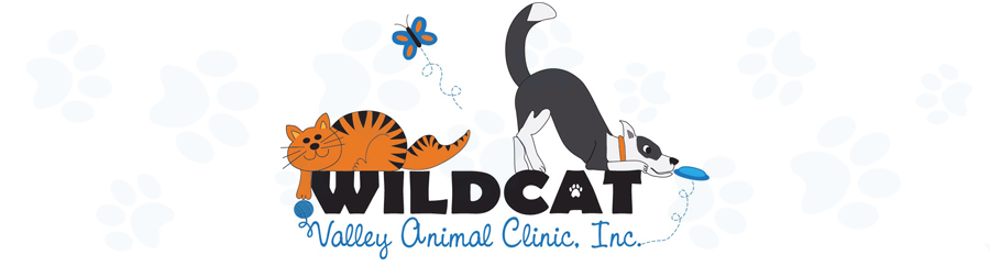 Wildcat Valley Animal Clinic